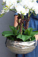 Hotels Deluxe, gumowy storczyk w srebrnej misie