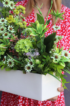 Green World Protea, kompozycja kwiatowa, wym.50/75x64x25cm