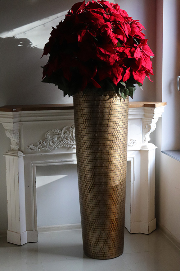 Gwiazda Betlejemska Hilton XXL, wysokiej jakości sztuczna roślina