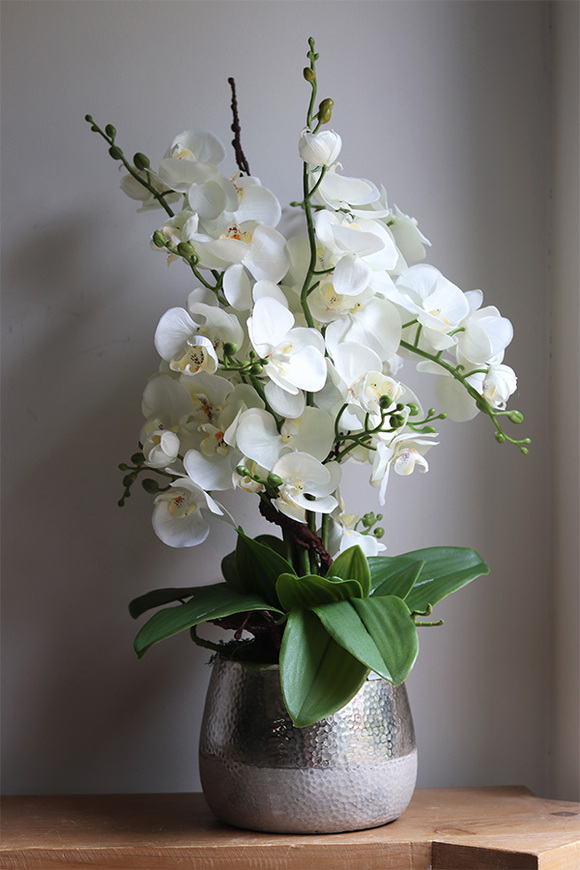 Modern Home, sztuczny storczyk w biało-srebrnej osłonce