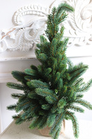 Americana New, choinka dekoracyjna w donicy