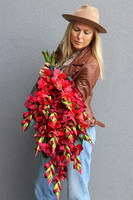 Mieczyki Czerwień, bukiet nagrobny do położenia