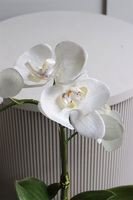 Fornasetta Kier, sztuczny storczyk w ozdobnej donicy