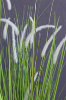 Fiberglass Grande Greeneria, trawa w białej donicy z paprocią, wys.185cm