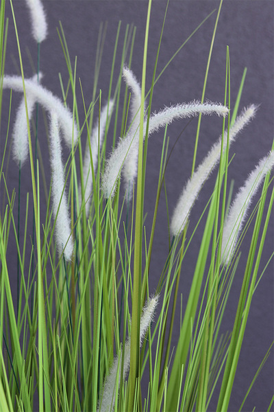 Fiberglass Grande Greeneria, trawa w białej donicy z paprocią, wys.185cm