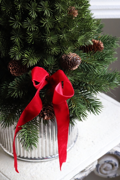 Illana Konika Deluxe, choinka dekoracyjna w donicy