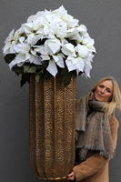 Gwiazda Betlejemska Palace, sztuczna roślina w donicy