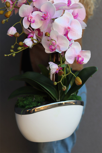 Pink Gelia, różowy storczyk glamour