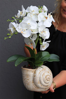 Muszla, sztuczny storczyk w dekoracyjnej donicy,