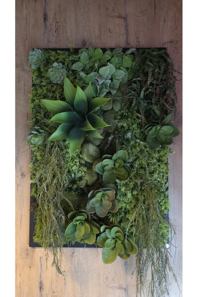 Black Frame Brazilea, czarna jednostronna rama sukulenty