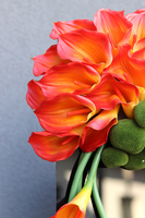 New Design Orange, komplet dekoracji nagrobnych