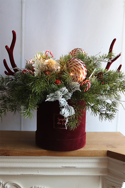 Rudolf Lollypop, flowerbox świąteczny LED z rogami