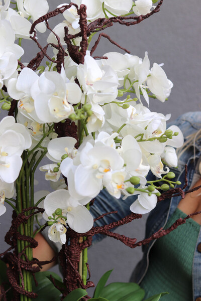 Goldenario Big, biały storczyk w złotej donicy, wys.91cm