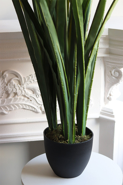 Niebieski Czosnek Ozdobny, sztuczna roślina w plastikowej osłonce