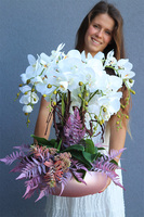 Cecile Pastelisa, efektowny storczyk w różowej misie, wys.56cm