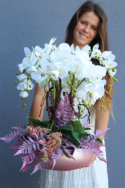 Cecile Pastelisa, efektowny storczyk w różowej misie, wys.56cm