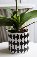 Fornasetta Kier, sztuczny storczyk w ozdobnej donicy