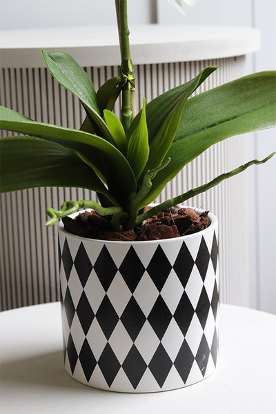 Fornasetta Kier, sztuczny storczyk w ozdobnej donicy