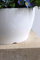 Mimosis 2, stroik wielkanocny z kurami