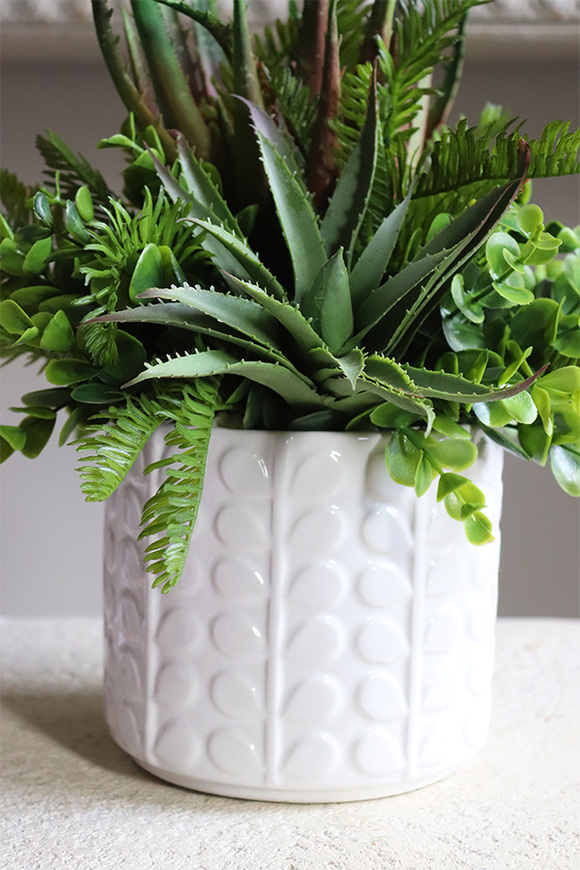 Jerudo C, kompozycja sukulenty w białej donicy, wys.27cm