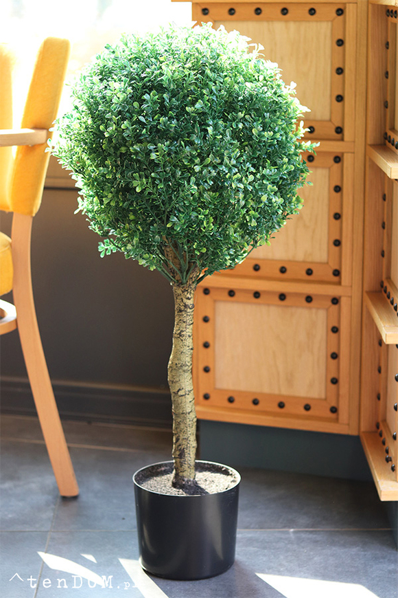 Drzewko Bukszpan, sztuczna roślina w doniczce