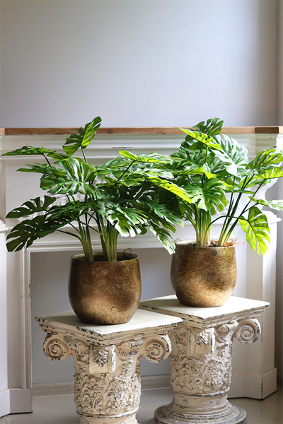 Monstera Gold Hilton 3, drzewko sztuczne w donicy