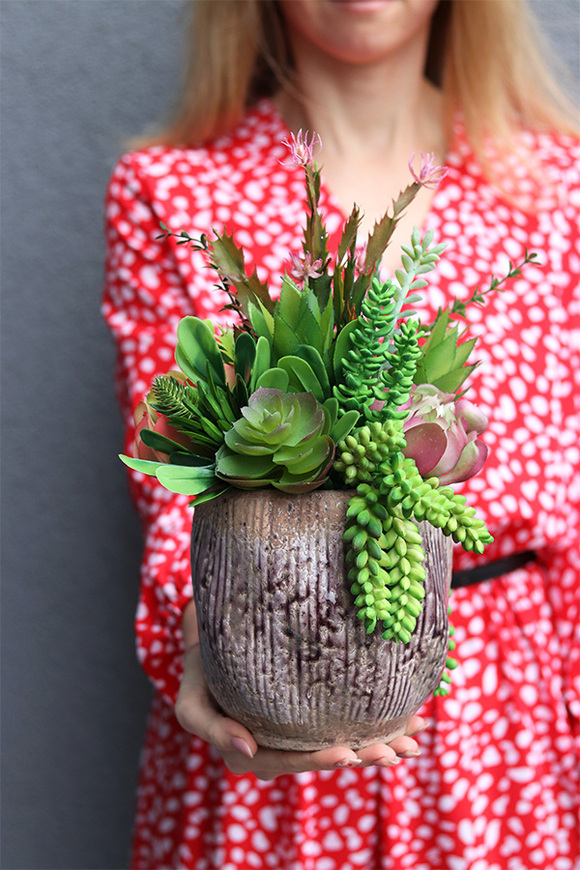 Hedute, sukulenty w ozdobnej donicy