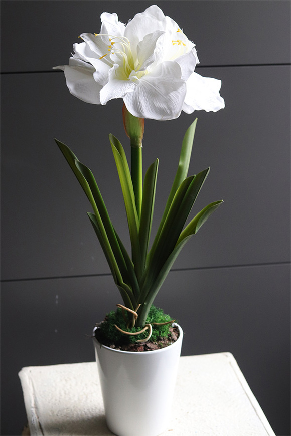 Amarylis Simple White, sztuczna roślina w doniczce