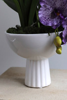 Violet Fantasy, fioletowy sztuczny storczyk w pucharze