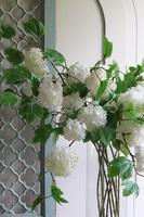 Kalina Bottle, bukiet kwiatów w wazonie