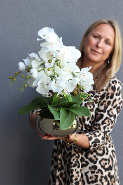 Cecile Jeanne Small, efektowny storczyk w złotej misie, wys.46cm