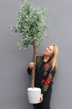 Oliwka Concrete Lite, sztuczne drzewko w betonowej donicy, wys.175cm