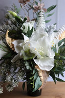 Amarylis Zimowy, bukiet nagrobny we wkładzie