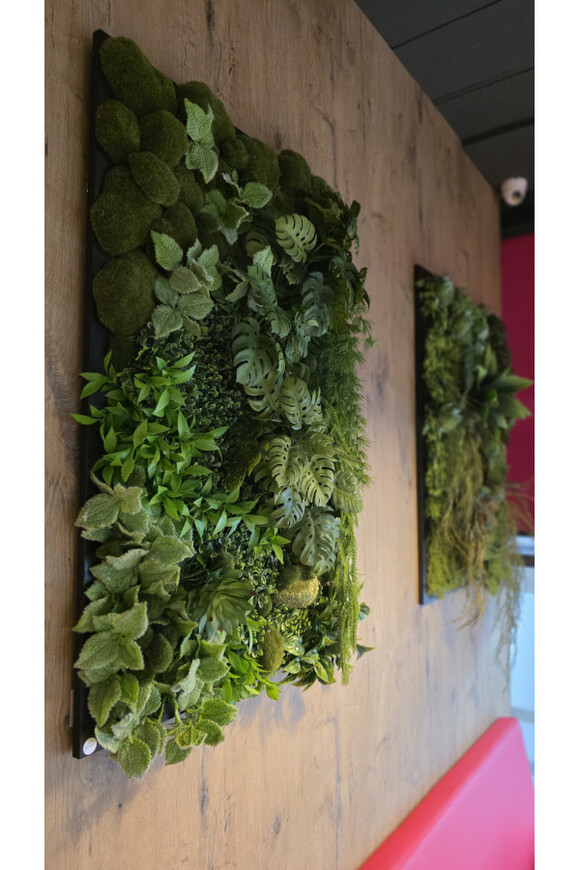 Black Frame Brazilea, czarna jednostronna rama sukulenty