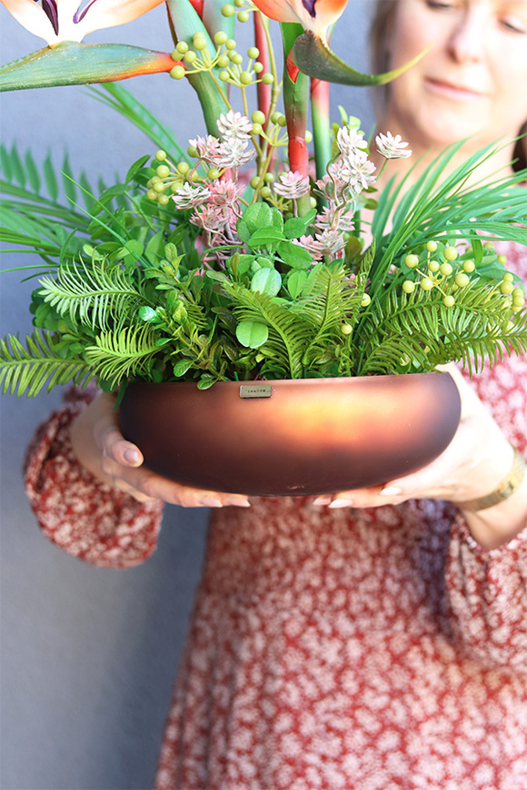 Strelicja Brown Cecile, kompozycja w złotej donicy