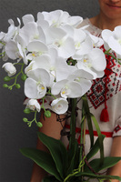 Tilda White Cremona, śnieżnobiały storczyk w ceramicznej donicy