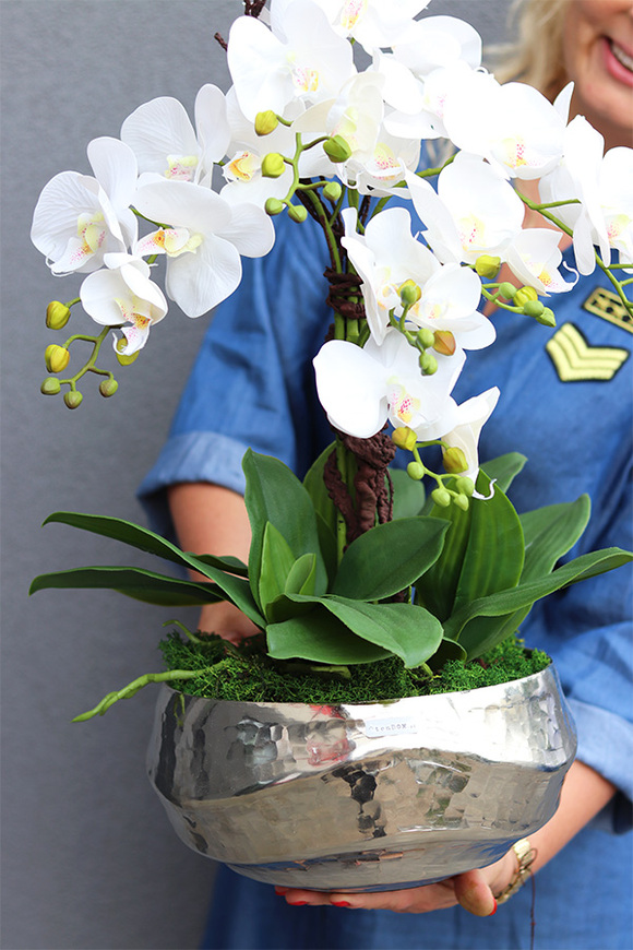 Hotels Deluxe, gumowy storczyk w srebrnej misie