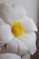 Rumianek Paper Flower 2, ręcznie robiony kwiat papierowy