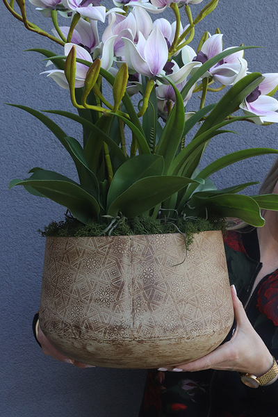 Herlow Sydney, biały gumowy storczyk w donicy