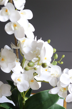 Kulena Tall 2, gumowy storczyk w etno donicy, wys.64cm