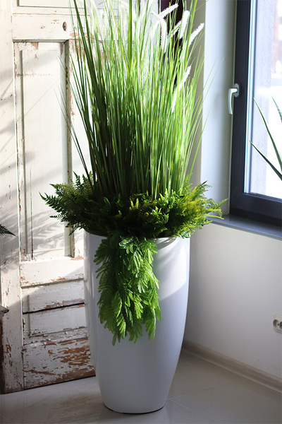 Fiberglass Grande Greeneria, trawa w białej donicy z paprocią, wys.185cm
