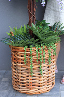 Wisteria Usagi Basket sztuczna roślina w koszu