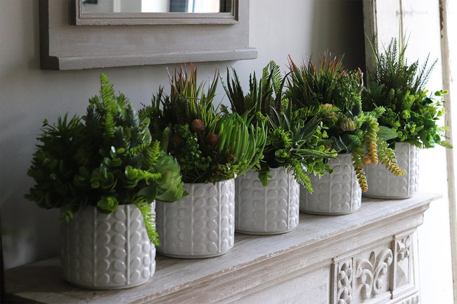 Jerudo C, kompozycja sukulenty w białej donicy, wys.27cm