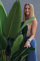 Bananowiec Concrete Bowl 3, sztuczna roślina w donicy