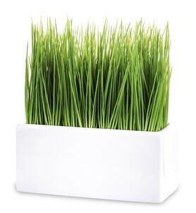 OD RĘKI Simplica C, sztuczna trawa w doniczce, wys.23cm
