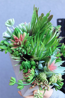 Nord Concrete, kompozycja sukulenty w betonowej donicy