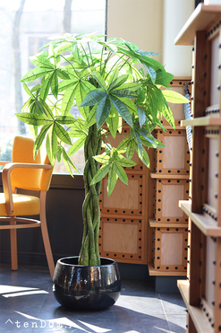 Kasztanowiec Ares, sztuczna roślina w doniczce, wys.137cm 