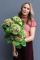 Green Hydrangea, gałązka sztuczna hortensja