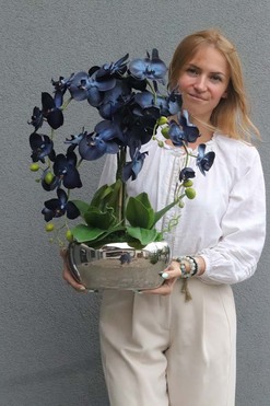 Blue&Silver, storczyk w lustrzanej donicy glamour, wys.70cm