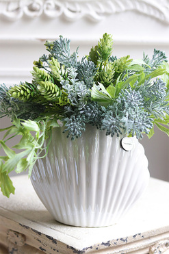 Antylla Marino Shell, kompozycja sukulenty w muszli, wym.26x35cm 